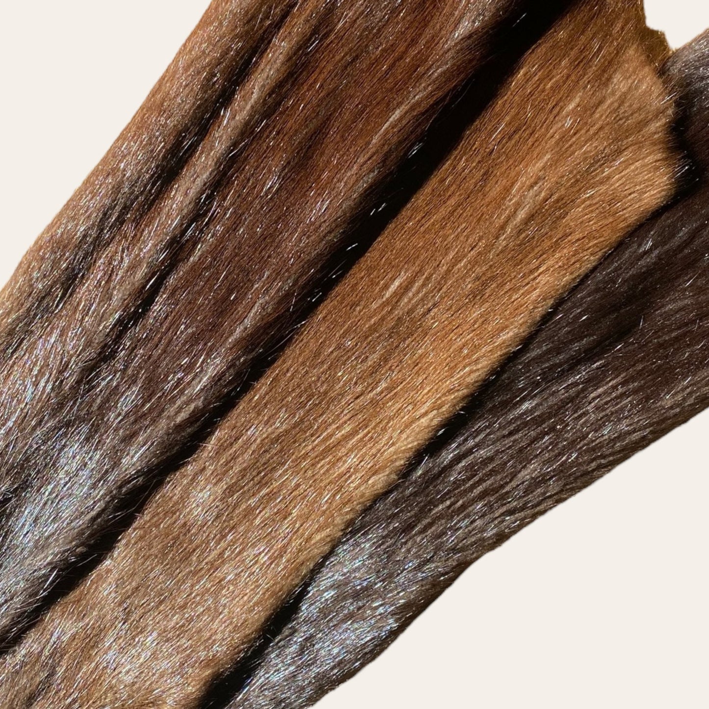 Real Nutria fur, Coypu hide, Coypus pelt, taxidermy, fur sawing, - Image 3