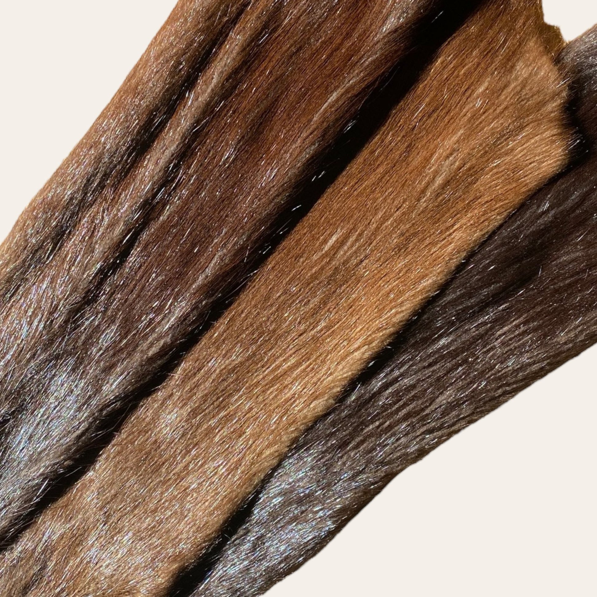Real Nutria fur, Coypu hide, Coypus pelt, taxidermy, fur sawing, - Image 3