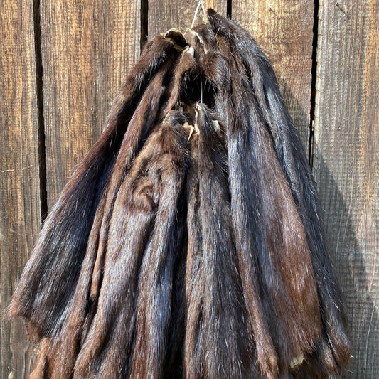 Real Nutria fur / Coypu hide / Coypus pelt
