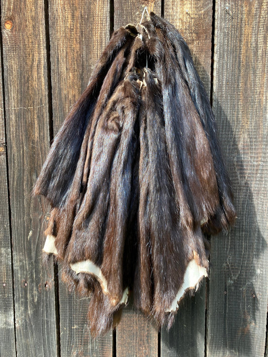 Real Nutria fur, Coypu hide, Coypus pelt, taxidermy, fur sawing, - Image 2