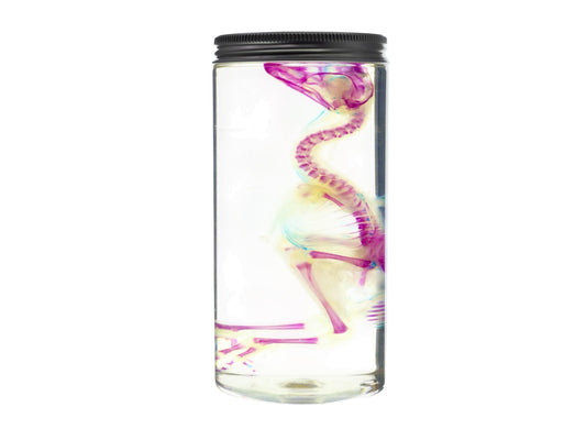 Diaphonized DUCK skeleton
